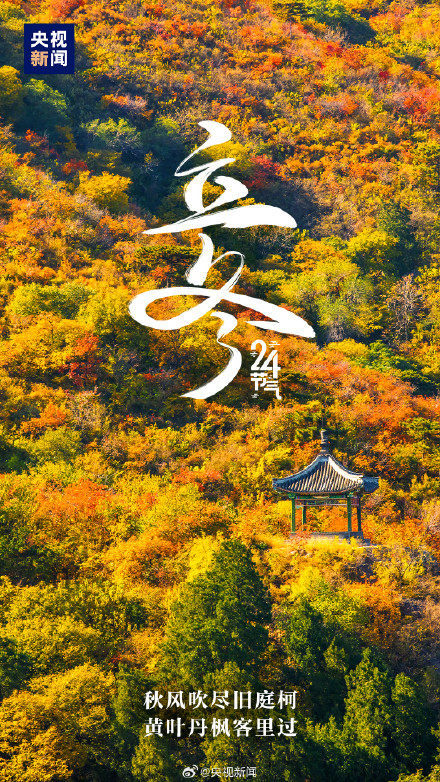 一觉醒来已经立冬了 一觉醒来已经立冬了