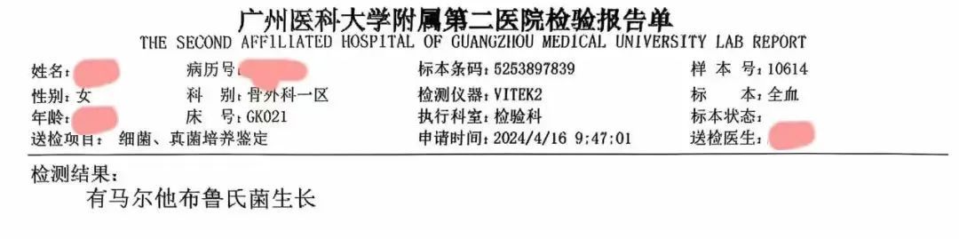 细菌培养报告单图片