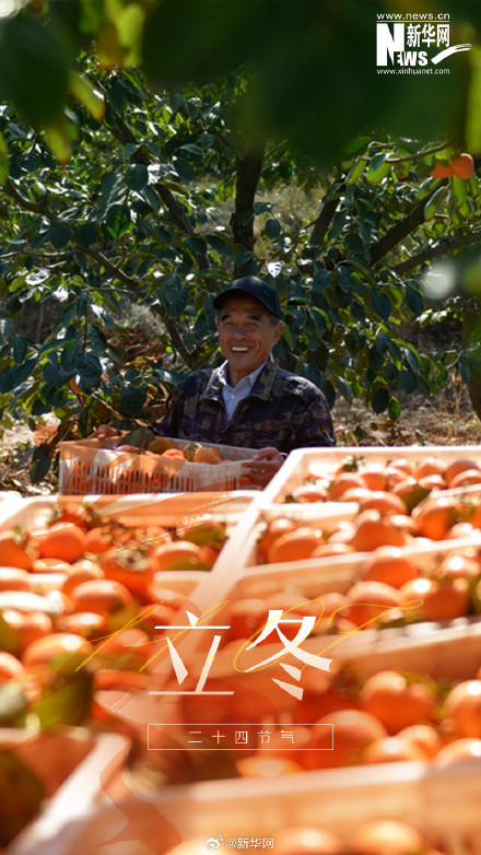 冬之伊始 万物收藏 冬之伊始 万物收藏