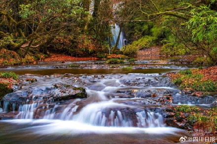 雅安龙苍沟彩林美得像画报 雅安龙苍沟彩林美得像画报