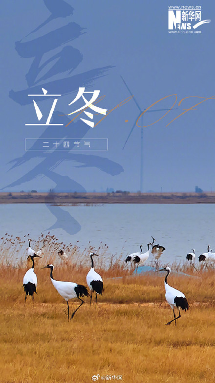 冬之伊始 万物收藏 冬之伊始 万物收藏