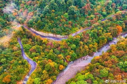 雅安龙苍沟彩林美得像画报 雅安龙苍沟彩林美得像画报