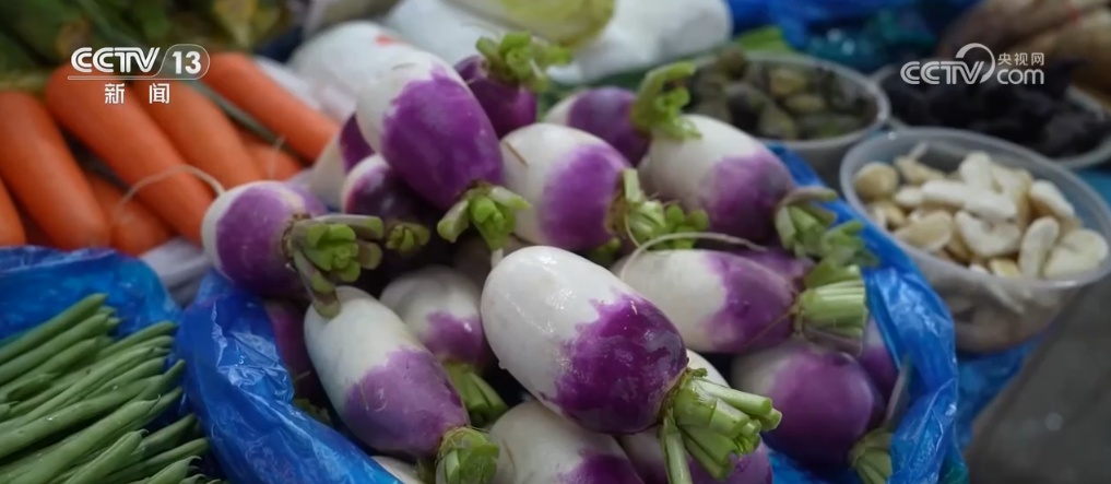 建好“菜园子” 拎稳“菜篮子” 我国蔬菜保障供给能力不断提升