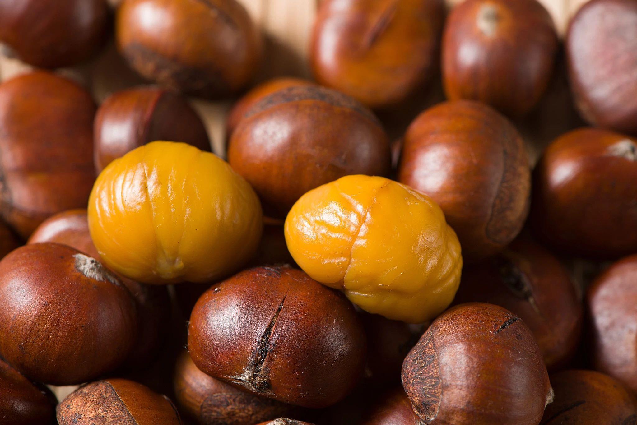 今日立冬，做好“五防”“三藏”让你少生病！