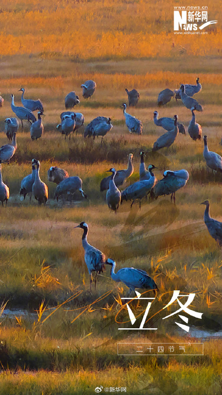 冬之伊始 万物收藏 冬之伊始 万物收藏