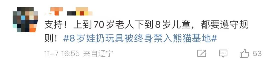 冲上热搜!8岁娃被终身禁入! 冲上热搜!8岁娃被终身禁入!