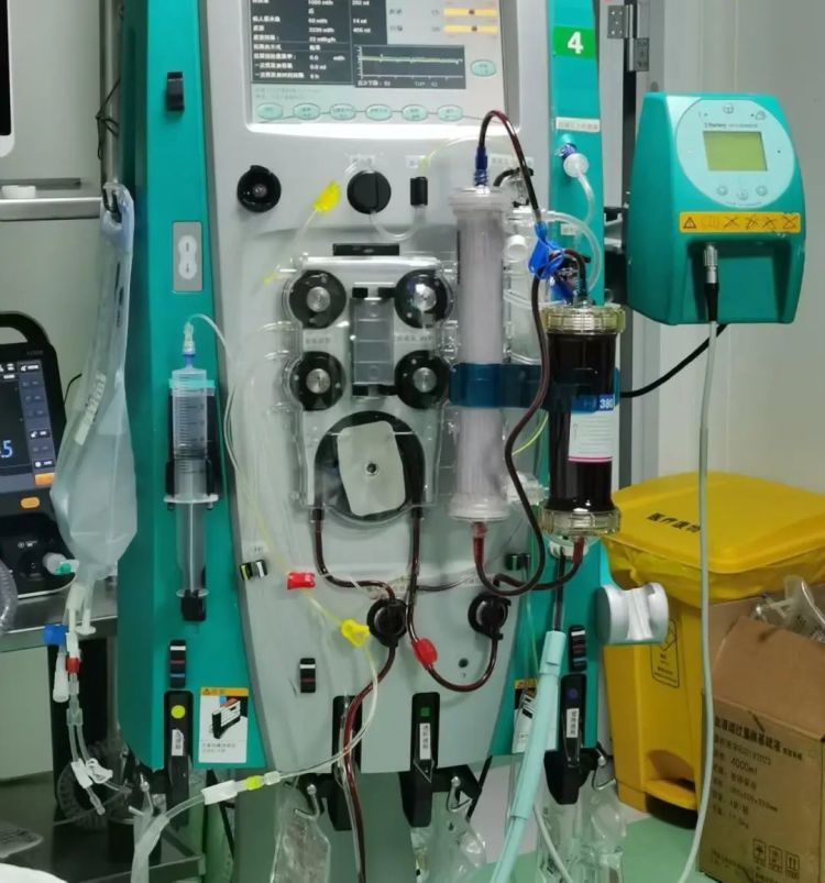 女子爬山被马蜂叮咬引发多器官衰竭,医生提醒 女子爬山被马蜂叮咬引发多器官衰竭,医生提醒