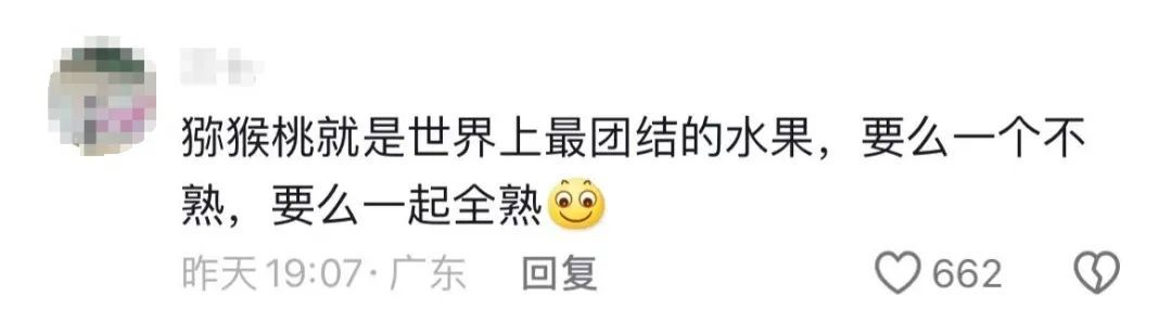 网购的猕猴桃20天都不熟?专家:猕猴桃不会后熟 网购的猕猴桃20天都不熟?专家:猕猴桃不会后熟