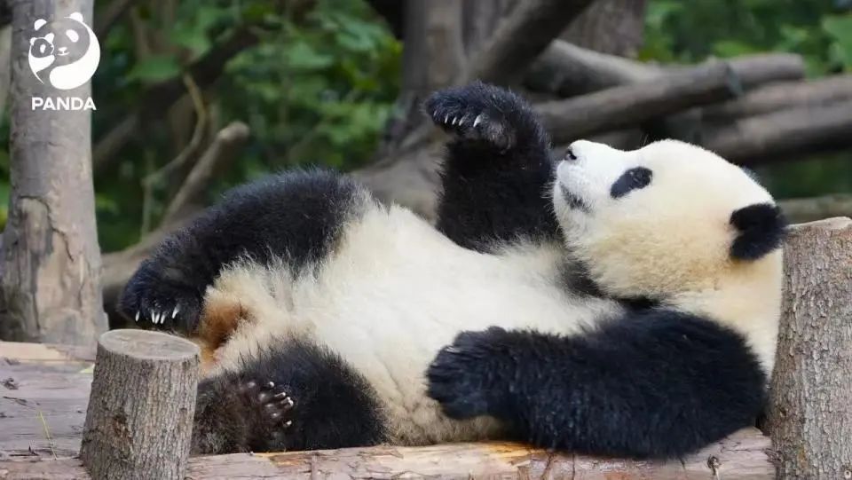 唐某某(8岁)等16人,终身禁入! 唐某某(8岁)等16人,终身禁入!