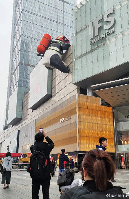 “负重”打工~春熙路的爬墙熊猫有班味儿了