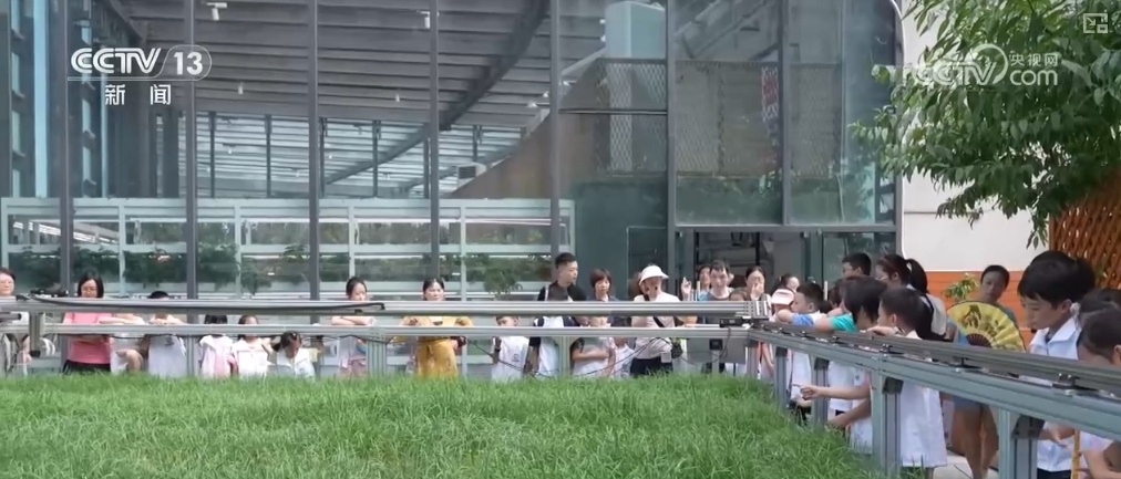 绿油油、金灿灿、红彤彤……再突破！“多彩”设施农业丰富百姓“菜篮子”