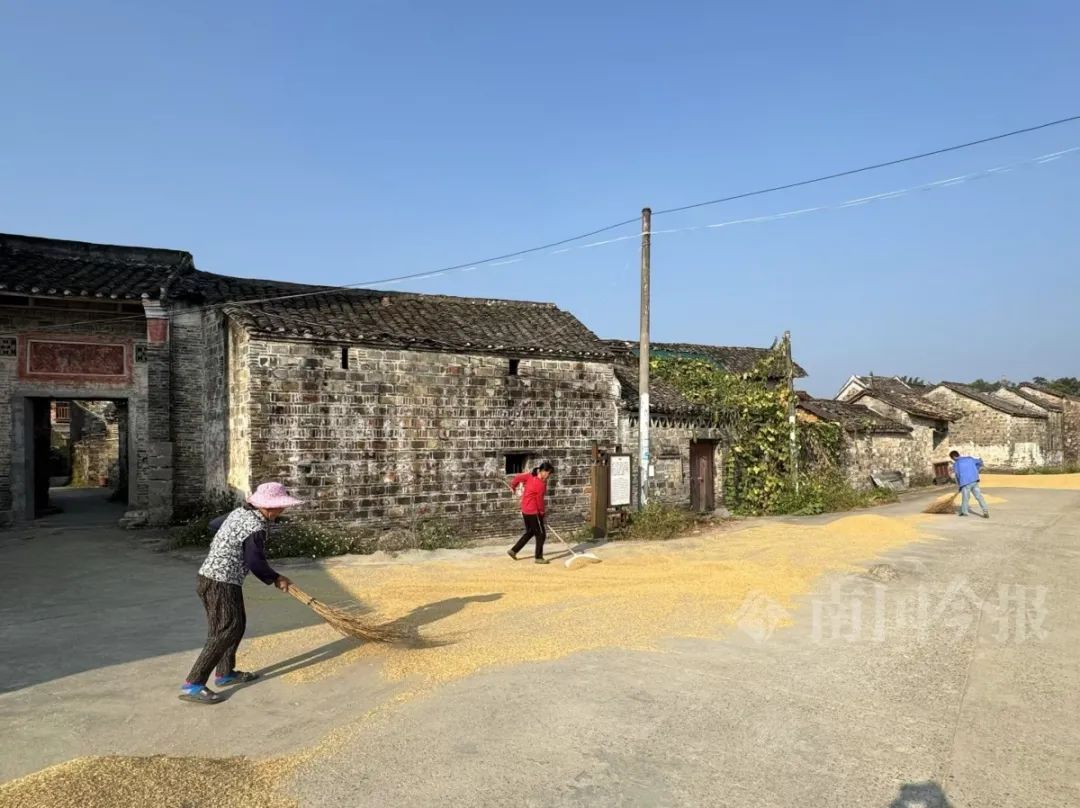 一大波30℃将至！柳州将持续干燥少雨