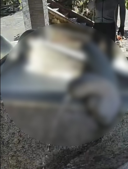 辣眼睛，景区水龙头竟被设计成这样？