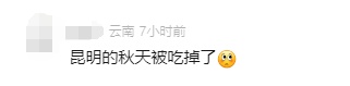 昆明冷上热搜！网友发问：昆明的秋天被吃掉了？回温时间……