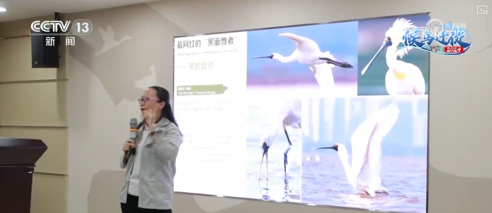 一拨拨来,“五星级酒店”待客!候鸟为美丽生态投票、点赞 一拨拨来,“五星级酒店”待客!候鸟为美丽生态投票、点赞