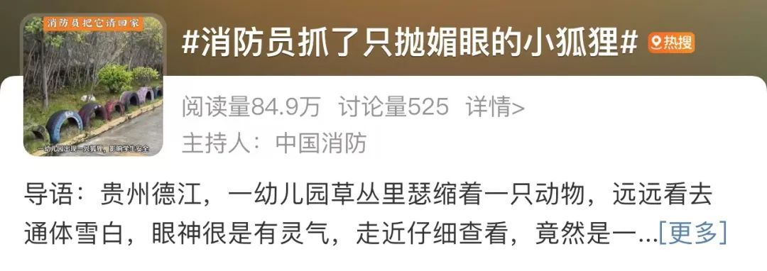 “蓝朋友”也搞“副业”？
