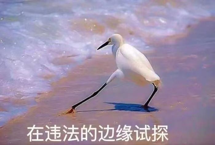 别动!小心去往“异世界” 别动!小心去往“异世界”