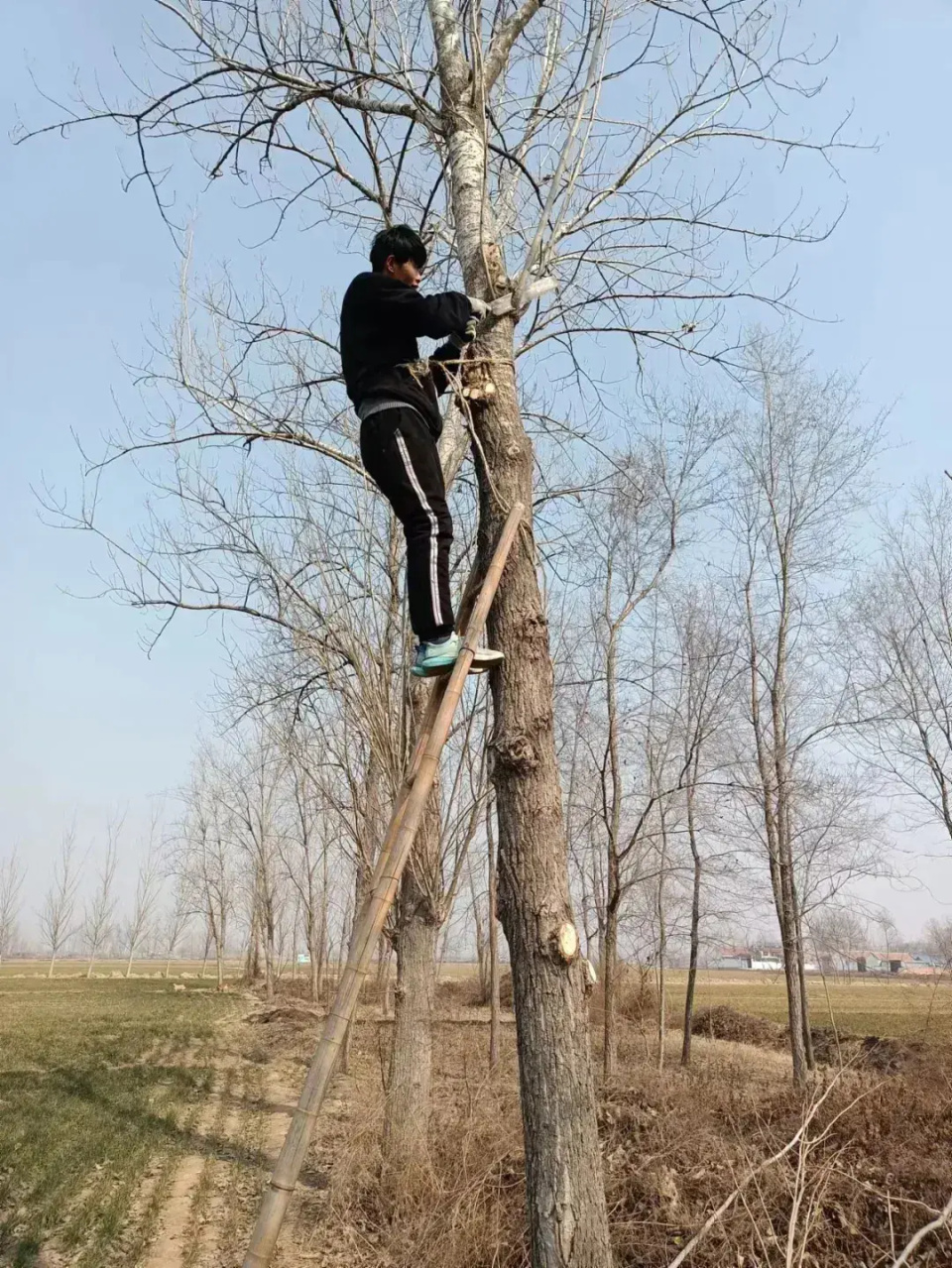 高考完就去了工地的他，一路逆袭读研！他写下37本ICU日记引发全网关注