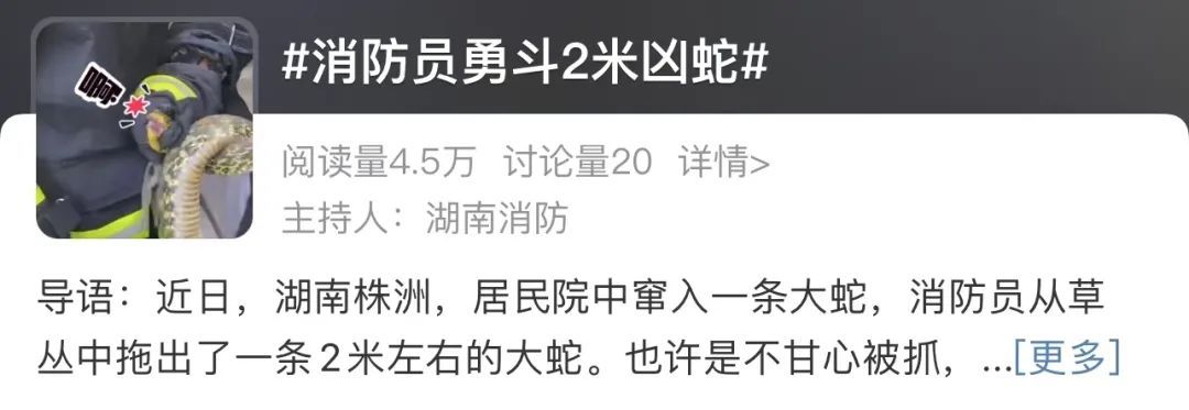 “蓝朋友”也搞“副业”？