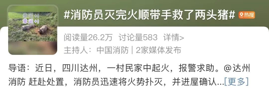 “蓝朋友”也搞“副业”？