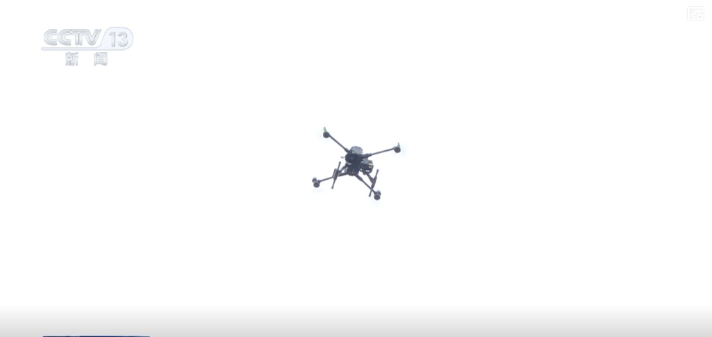 清水荡碧波,候鸟舞翩跹!“数字+人工”多方位“保护网”逐步完善 清水荡碧波,候鸟舞翩跹!“数字+人工”多方位“保护网”逐步完善