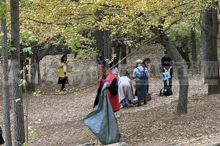 以卫生费名义收门票？官方回应贵阳一网红银杏打卡点“ 不是景区却收费”