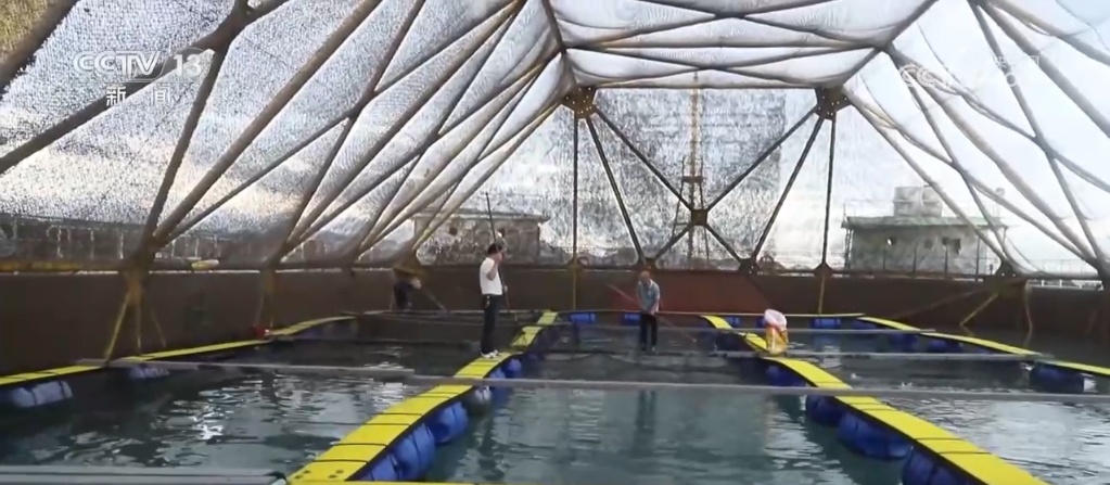 “蓝色粮仓”供给能力持续加强 “大食物”托起百姓舌尖上的“小幸福”