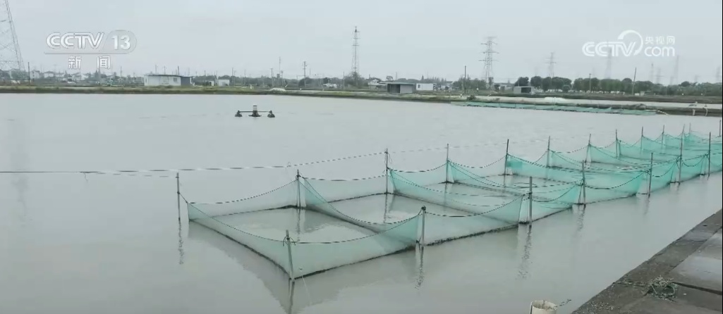 “蓝色粮仓”供给能力持续加强 “大食物”托起百姓舌尖上的“小幸福”