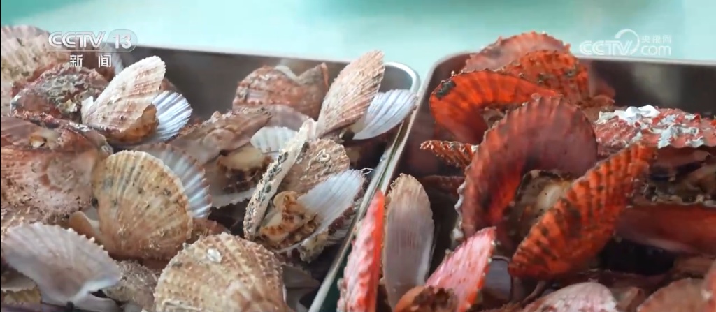 “蓝色粮仓”供给能力持续加强 “大食物”托起百姓舌尖上的“小幸福”