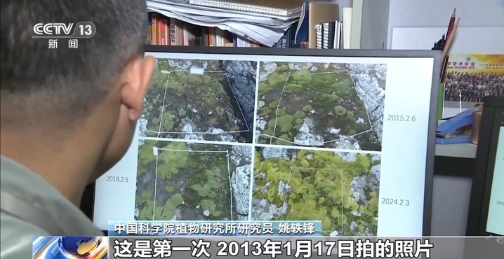 南极变绿?快速变暖地区的植被覆盖面积迅速增加 南极变绿?快速变暖地区的植被覆盖面积迅速增加