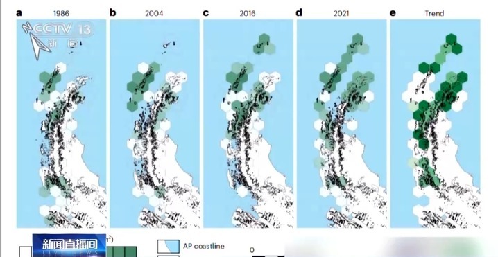 南极变绿?快速变暖地区的植被覆盖面积迅速增加 南极变绿?快速变暖地区的植被覆盖面积迅速增加