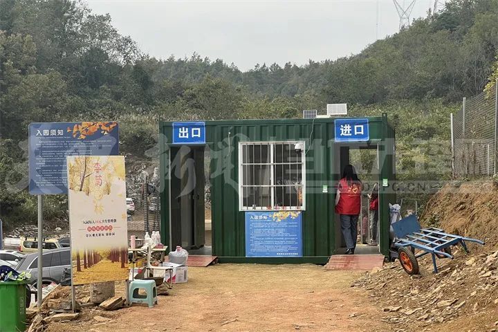 以卫生费名义收门票？官方回应贵阳一网红银杏打卡点“ 不是景区却收费”