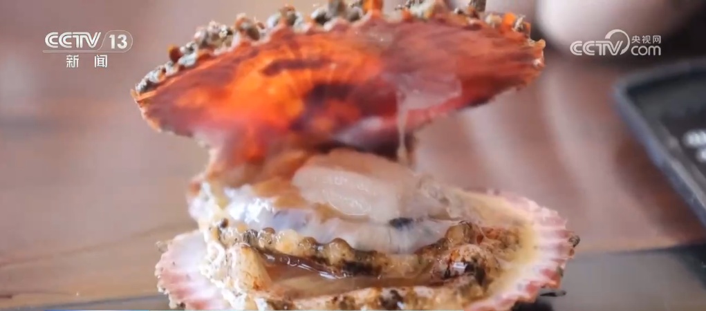 “蓝色粮仓”供给能力持续加强 “大食物”托起百姓舌尖上的“小幸福”