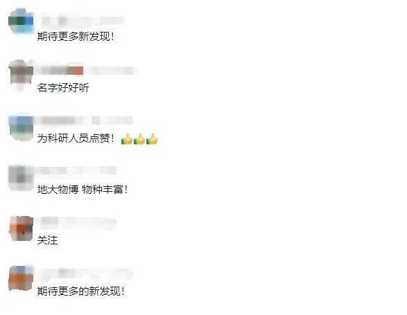 新物种+1！看看长啥样！网友: 名字好听