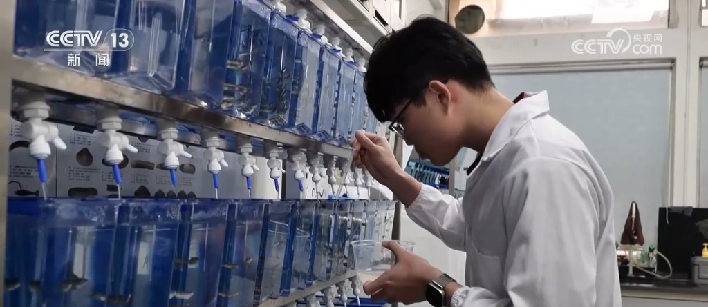 “蓝色粮仓”供给能力持续加强 “大食物”托起百姓舌尖上的“小幸福”