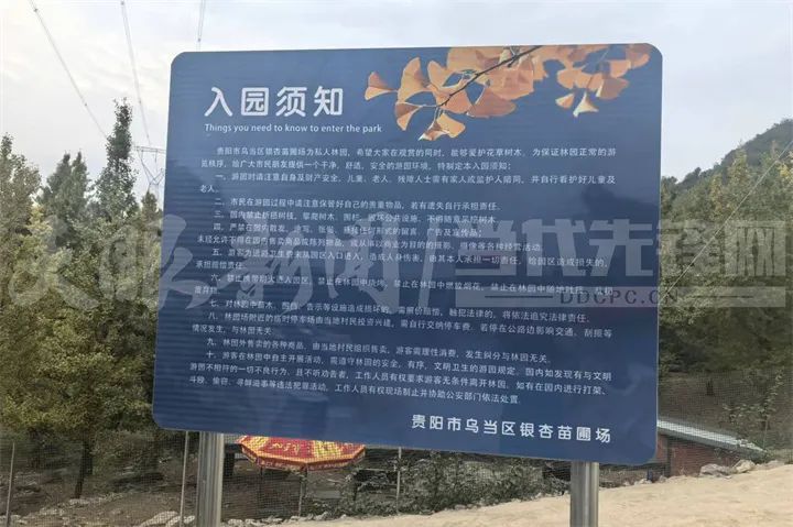 以卫生费名义收门票？官方回应贵阳一网红银杏打卡点“ 不是景区却收费”