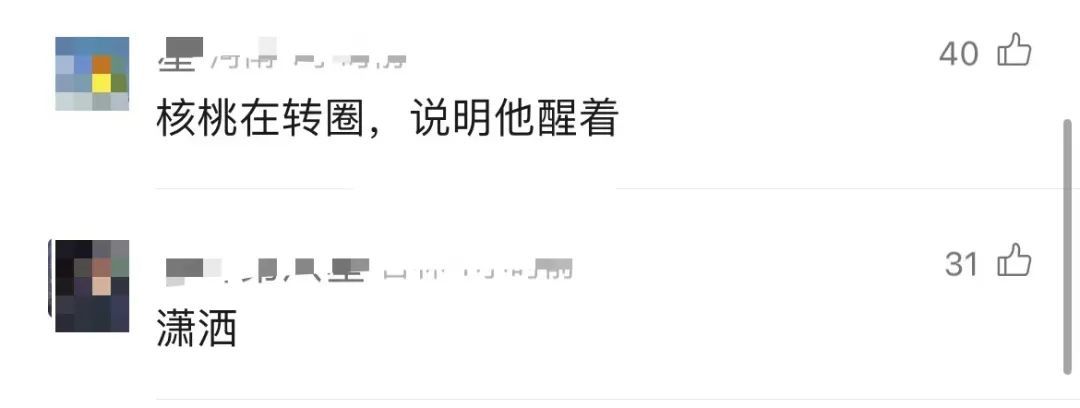 高铁站员工被曝上班懒散、盘核桃！网友：画面感太强…