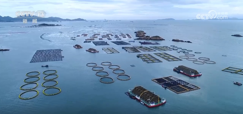 “蓝色粮仓”供给能力持续加强 “大食物”托起百姓舌尖上的“小幸福”