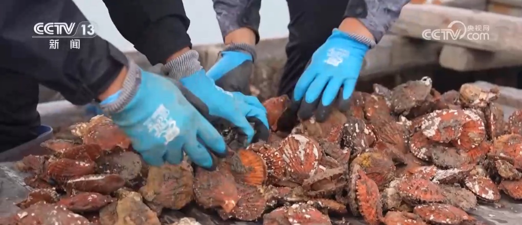 “蓝色粮仓”供给能力持续加强 “大食物”托起百姓舌尖上的“小幸福”