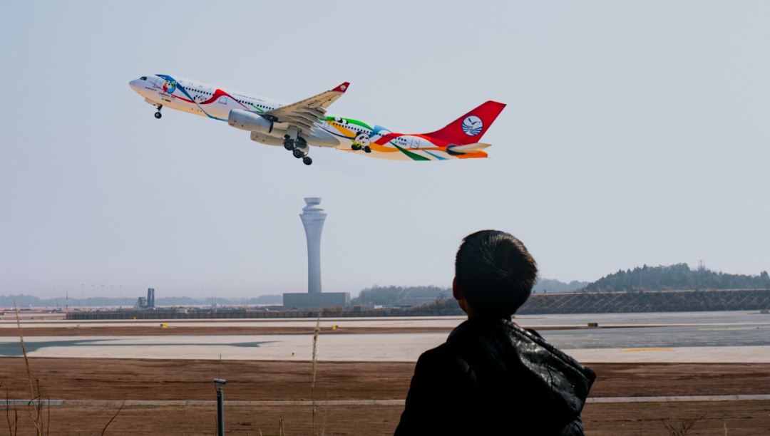 冲上热搜!价格暴跌! 冲上热搜!价格暴跌!