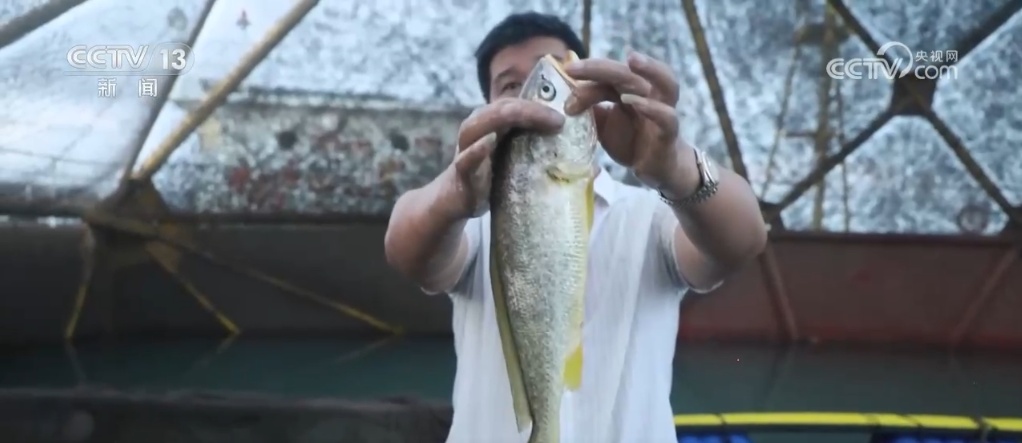 “蓝色粮仓”供给能力持续加强 “大食物”托起百姓舌尖上的“小幸福”