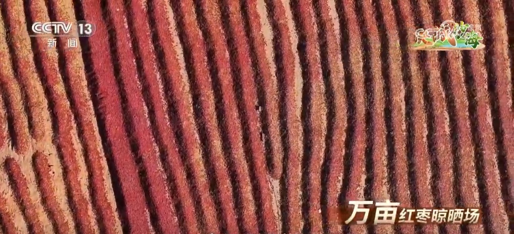 飞越塔克拉玛干 沙漠“黄”、生态“绿”、产业“红”协同发展