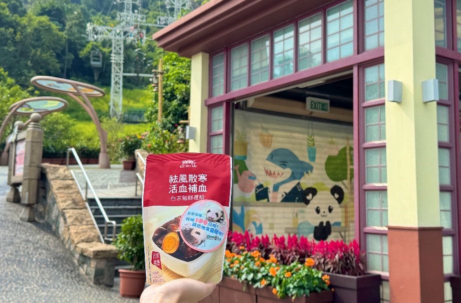 香港大熊猫龙凤胎将办百日庆，有实时直播