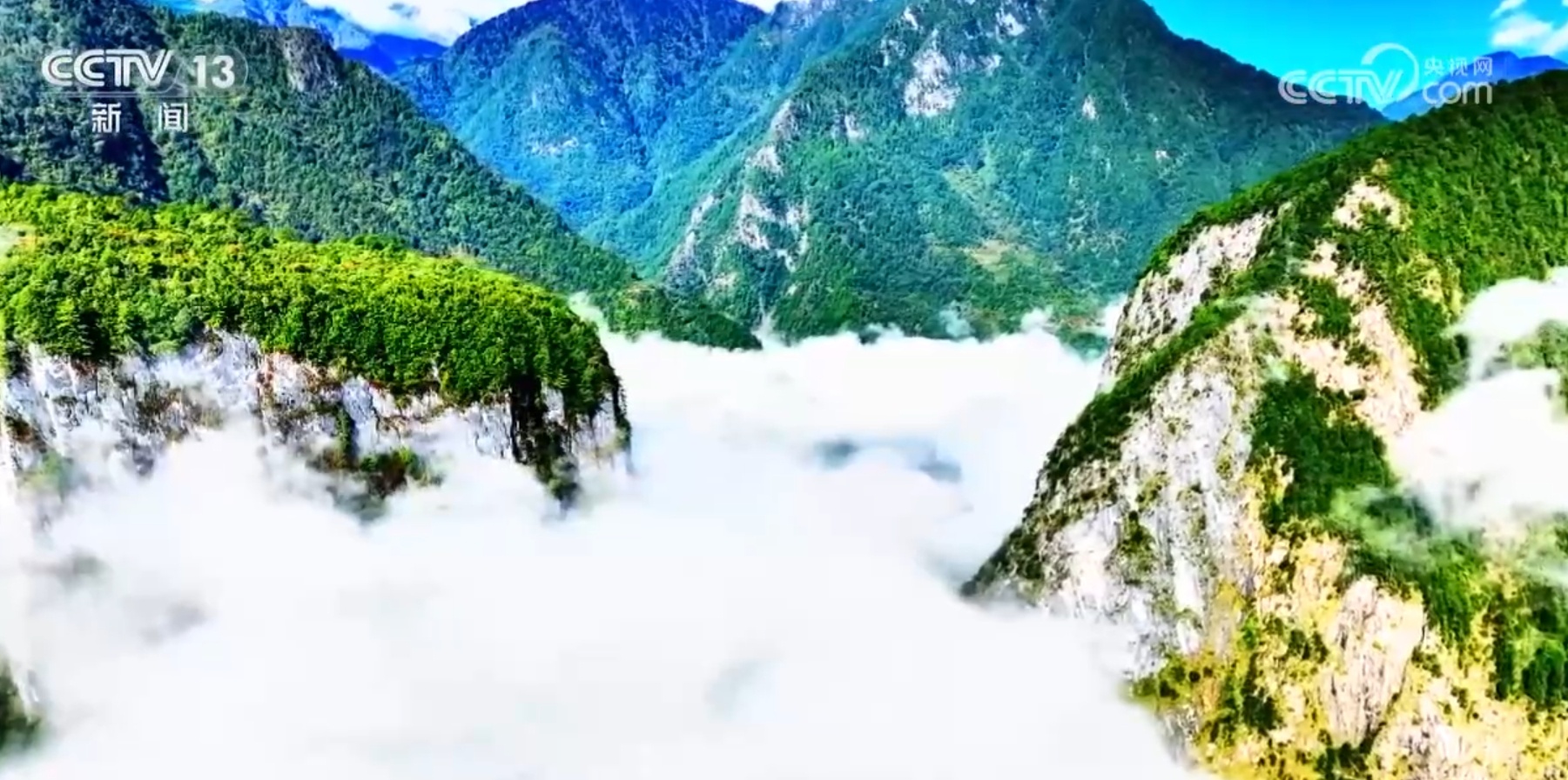 飞鸟、云海、雪山……绝美景观“绘”诗意画卷 厚植高质量发展绿色底色 飞鸟、云海、雪山……绝美景观“绘”诗意画卷 厚植高质量发展绿色底色