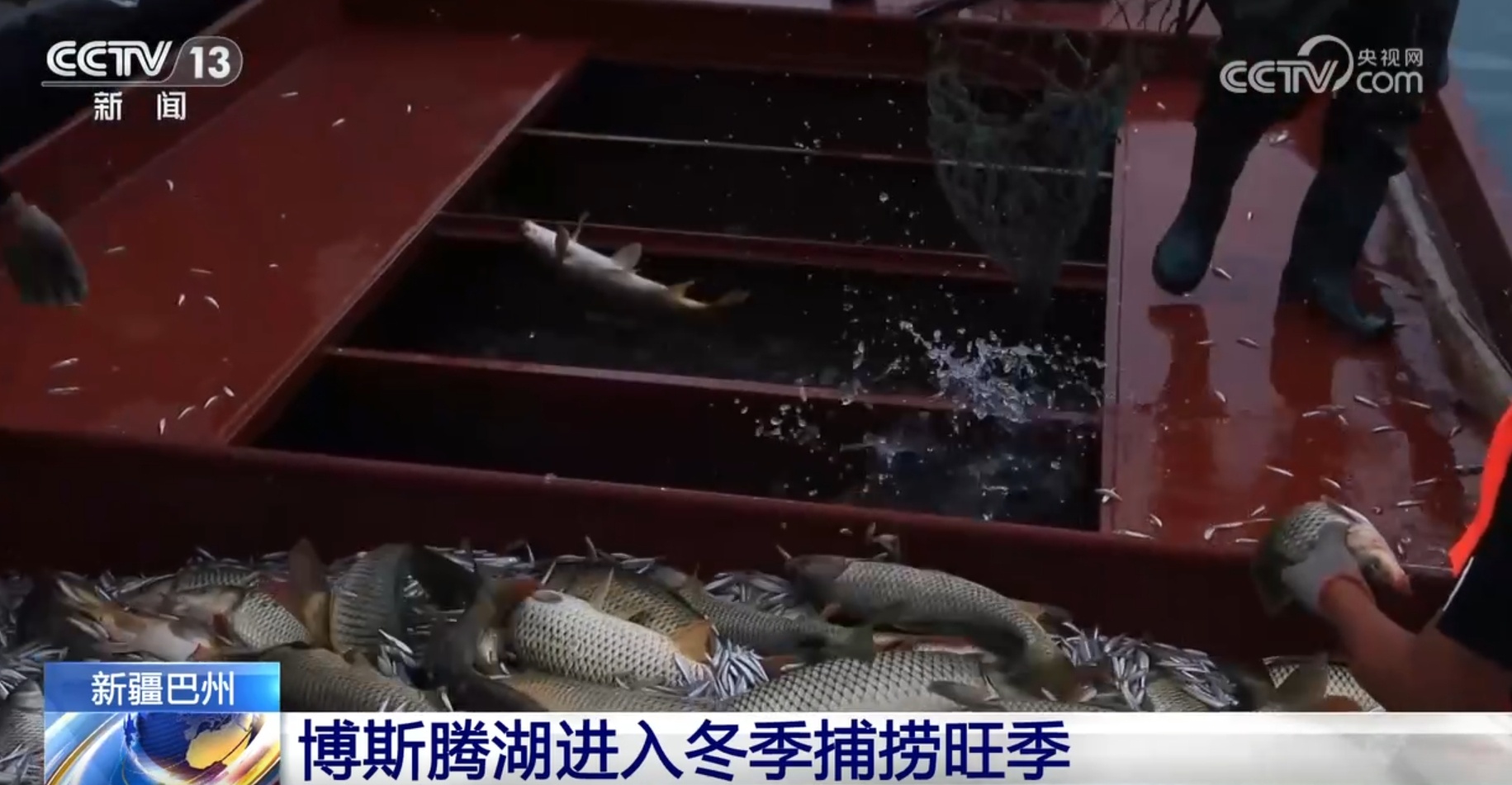 新疆博斯腾湖进入冬季捕捞旺季 “抓大放小”贯彻可持续发展理念