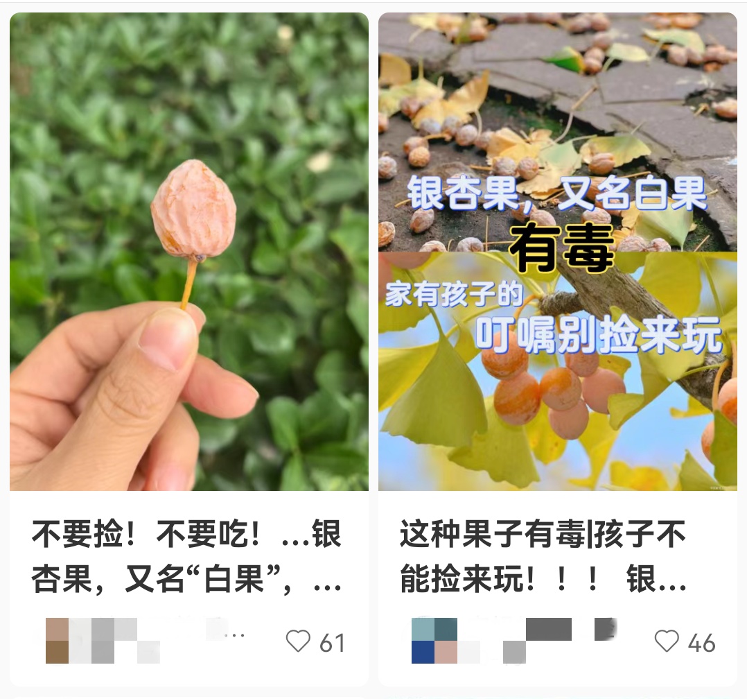 注意！南京街头正大量出现