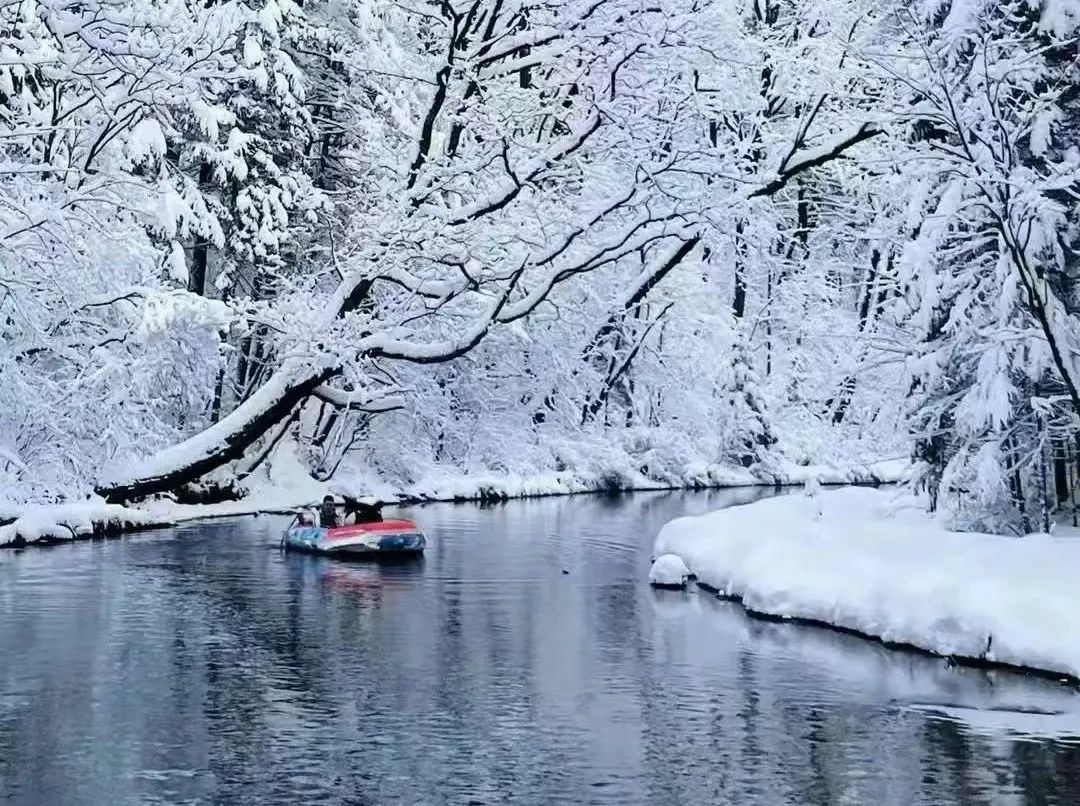 吉享冰雪之约丨吉林延边冰雪季开启 百项活动点燃冬日激情