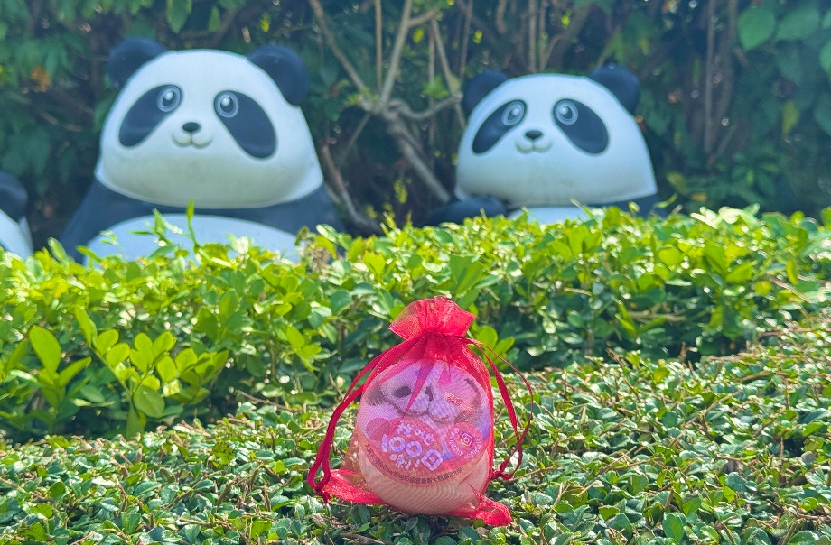 香港大熊猫龙凤胎将办百日庆，有实时直播