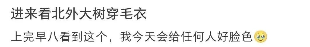 谁说这天冷啊？这学校树上的毛线衣可太暖了！网友：“我也想穿上个这样的毛线衣……”