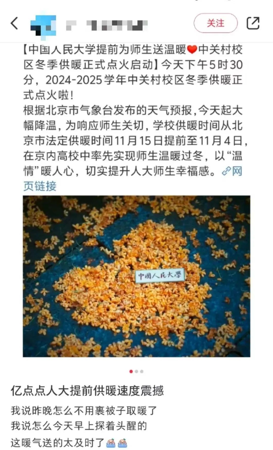 谁说这天冷啊？这学校树上的毛线衣可太暖了！网友：“我也想穿上个这样的毛线衣……”